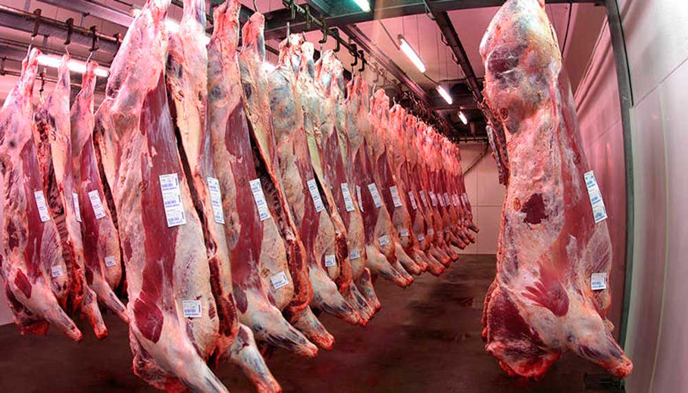 Las exportaciones de carne vacuna cayeron más del 33% en julio