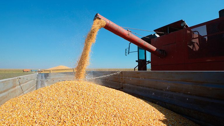 Crece la tensión entre el campo y el Gobierno ante el inminente aumento de retenciones a las exportaciones de aceite y harina de soja