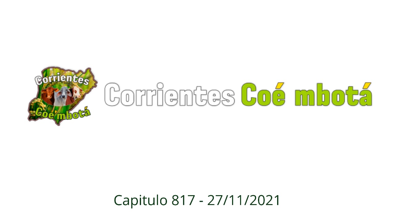 Corrientes Coé Mbotá N° 817 – 27/11/21