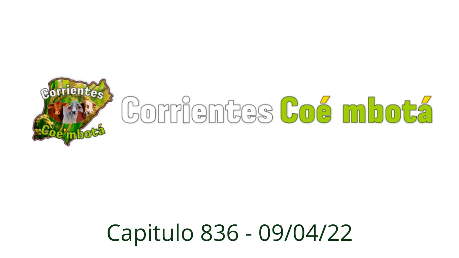 Corrientes Coé Mbotá N° 836 – 09/04/2022