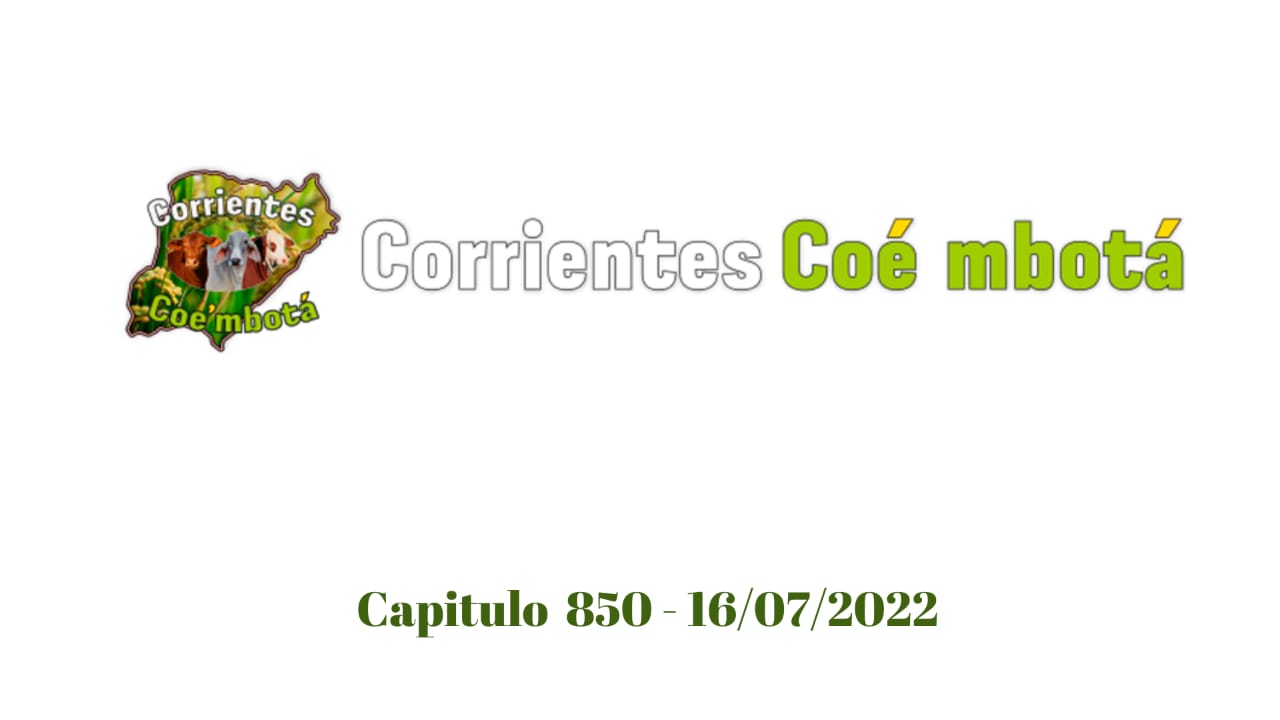 Corrientes Coé Mbotá N° 850 – 16/07/2022