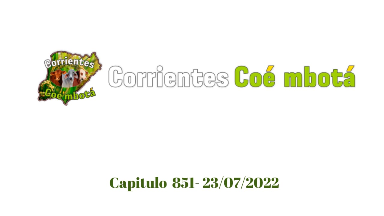 Corrientes Coé Mbotá N° 851 – 23/07/2022